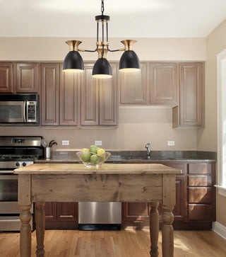 Edison Metal LED Pendant, Black, Brass Gold, Width: 20"