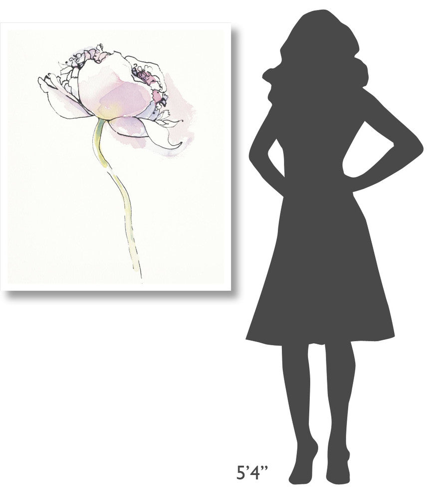"Single Pink Somniferums I on White" Print by Shirley Novak, 33"x38"