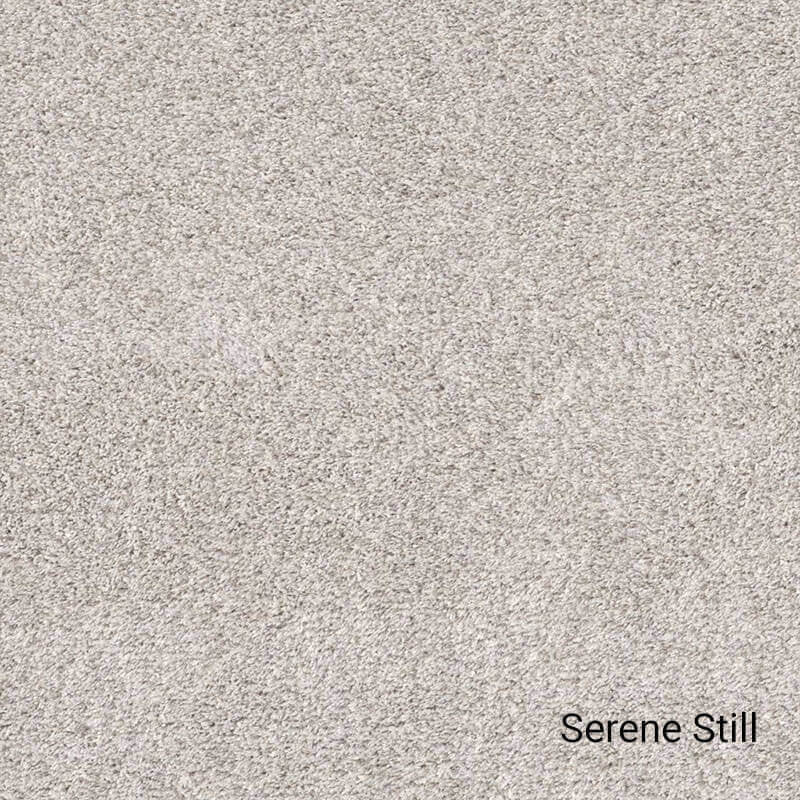 Quiet Sanctuary Shag Area Rug Collection, Serene Still, 9x9