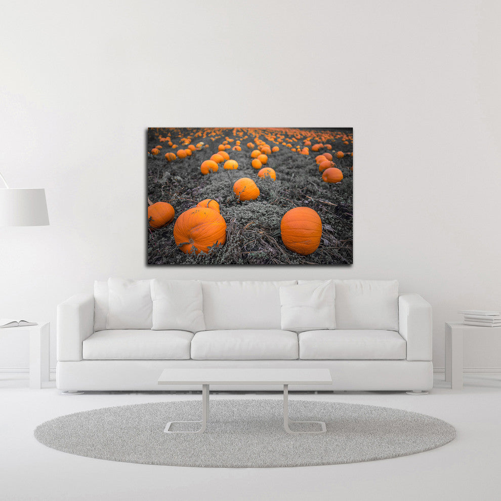 Sea of Pumpkins by Tim Oldford, Print on Canvas, 24"x16"
