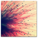 'Into the Future' Canvas Art by Beata Czyzowska Young