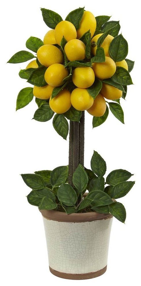 Lemon Ball Topiary Arrangement