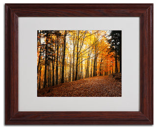'Autumn Leaves Pathway' Matted Framed Canvas Art by Philippe Sainte-Laudy