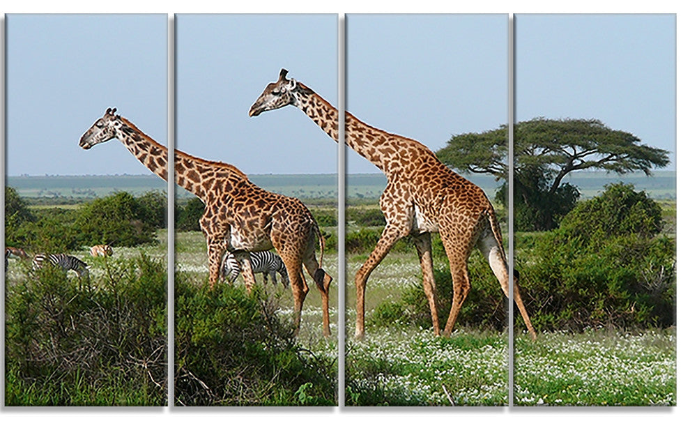 Two Giraffes in African Savannah, African Canvas Art Print, 48"x28", 4 Panels