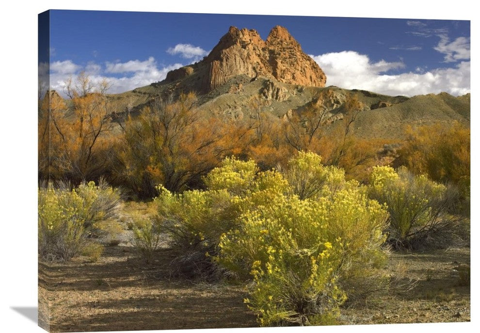 "Mitten Rock, New Mexico" Artwork, 32" x 24"