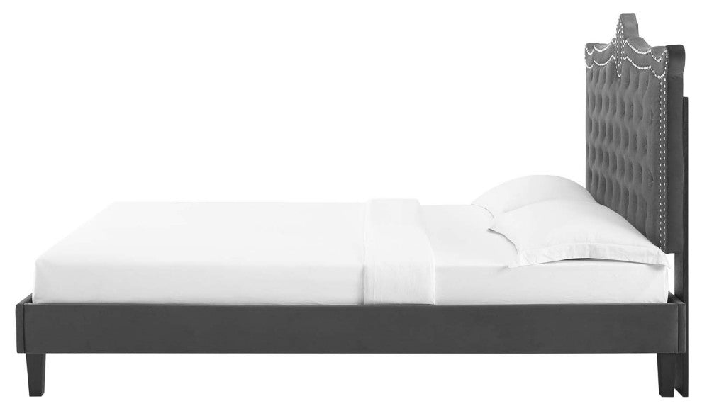 Platform Bed Frame, Nailhead, Queen Size, Charcoal Gray, Velvet, Modern