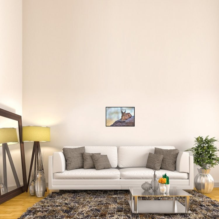 "Caracal" Framed Canvas Giclee by Alessandro Catta, 23x16"