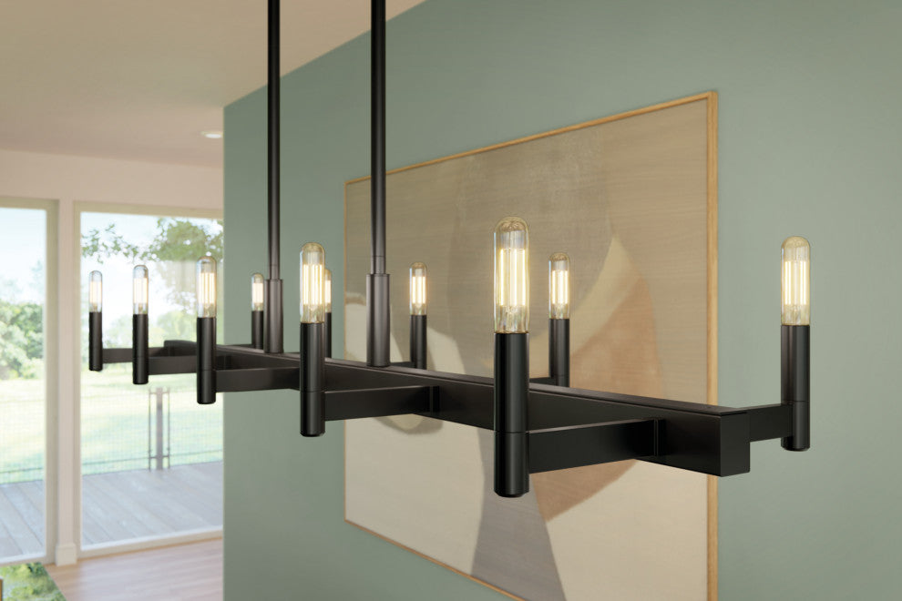 Erzo 50" 10 Light Linear Chandelier, Black
