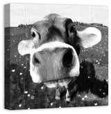 Cow Close-Up Wall Art, 24"x24", Canvas
