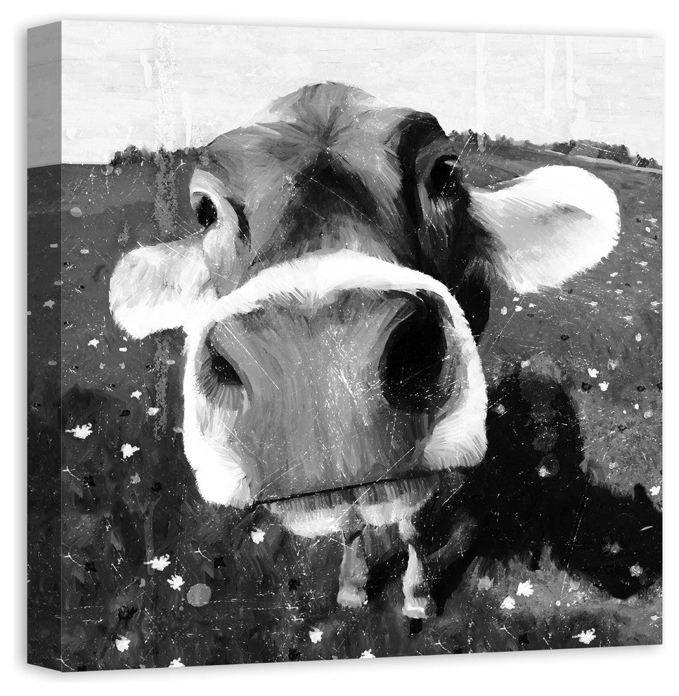 Cow Close-Up Wall Art, 24"x24", Canvas