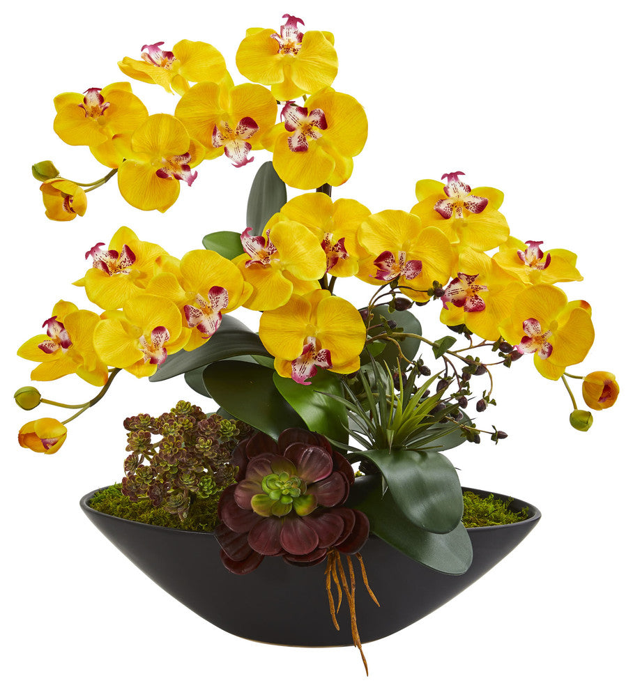 Phalaenopsis Orchid & Mixed Succulent Garden Artificial Arrangement in Yellow