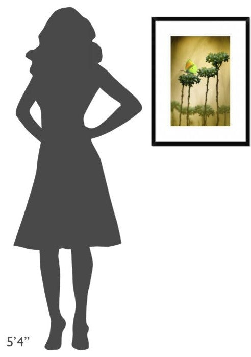 "Cleopatra" Framed Digital Print by Jimmy Hoffman, 20"x26"
