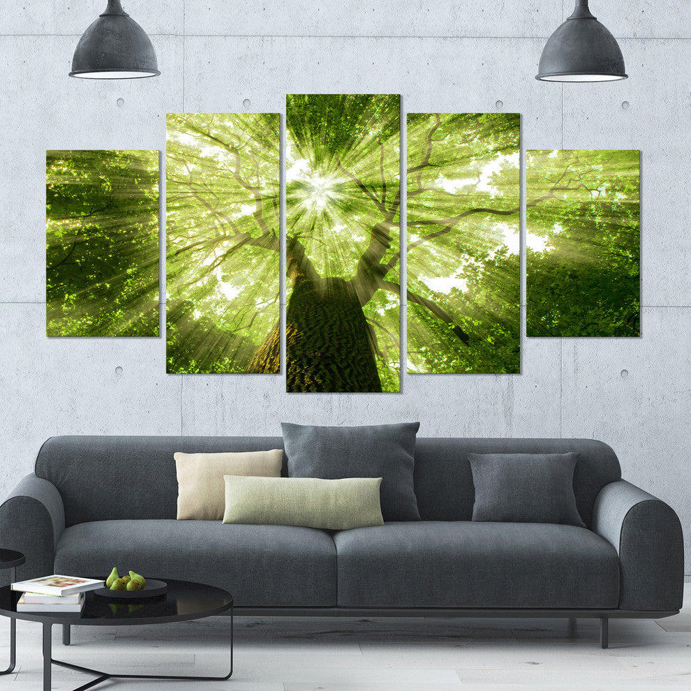 Sunlight Peeking through Green Tree, Landscape Canvas Print, 60"x32", 5 Panels