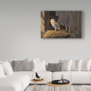 Wilhelm Goebel 'Ready For The Hunt Barn Owl' Canvas Art, 47"x30"