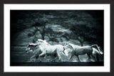 "Blue Arabians" Framed Painting Print, 45x30
