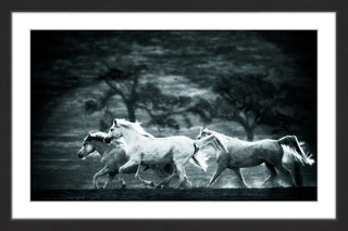 "Blue Arabians" Framed Painting Print, 45x30