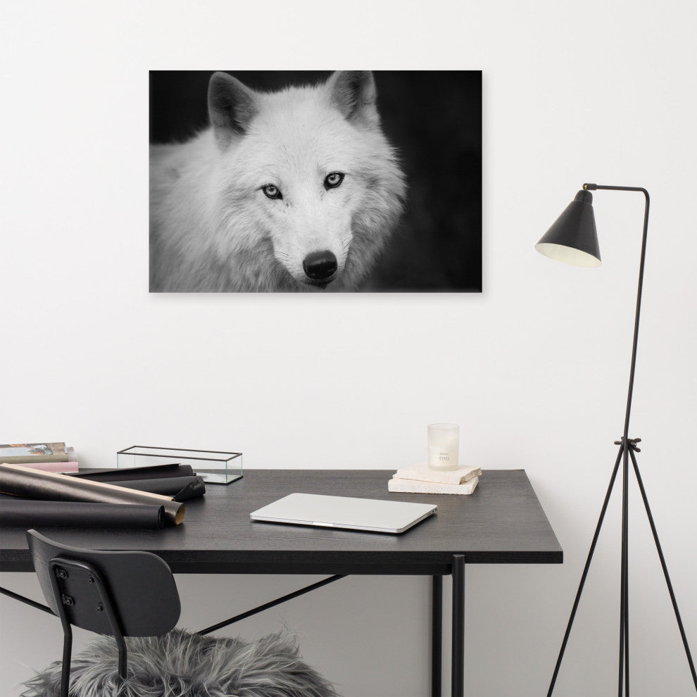 Black and White Portrait of White Wolf Wildlife Photograph Canvas Wall Art Print, 24" X 36"