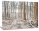 Dense Forest in the Winter Photography, Modern Forest Canvas Art, 20"x12"