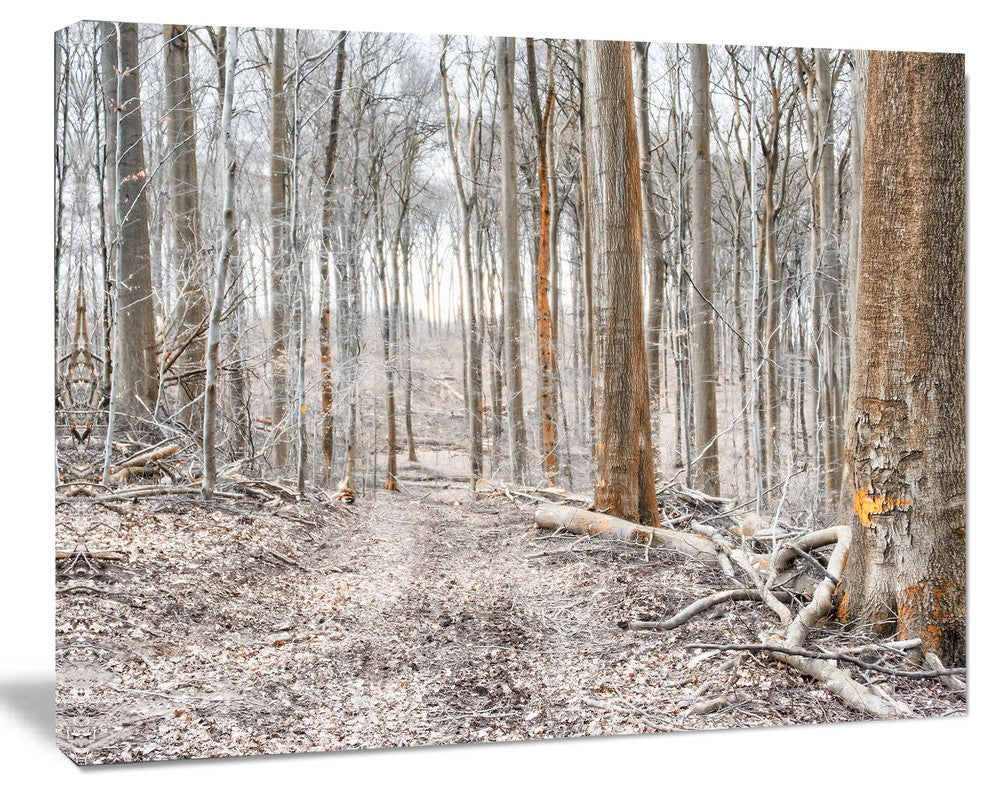 Dense Forest in the Winter Photography, Modern Forest Canvas Art, 20"x12"