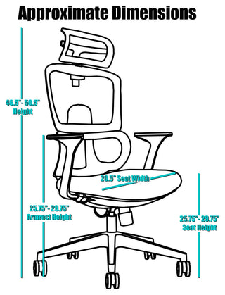 Ergonomic Office Mesh Chair with Lumbar Support Adjustable Armchair Tall Back