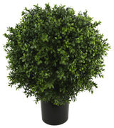23.5" Boxwood Topiary