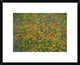 Paintbrush And Coreopsis Meadow, Hill Country, Texas, 22"x18"