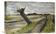 "Pollard Willow" Artwork, 22" x 14"