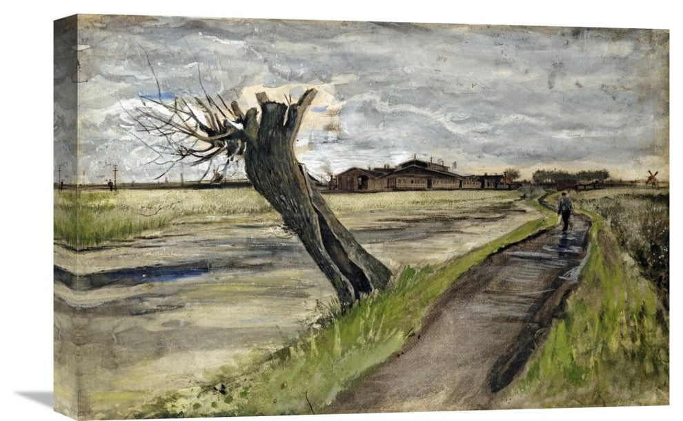 "Pollard Willow" Artwork, 22" x 14"