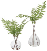 Uttermost Country Ferns, Set of 2