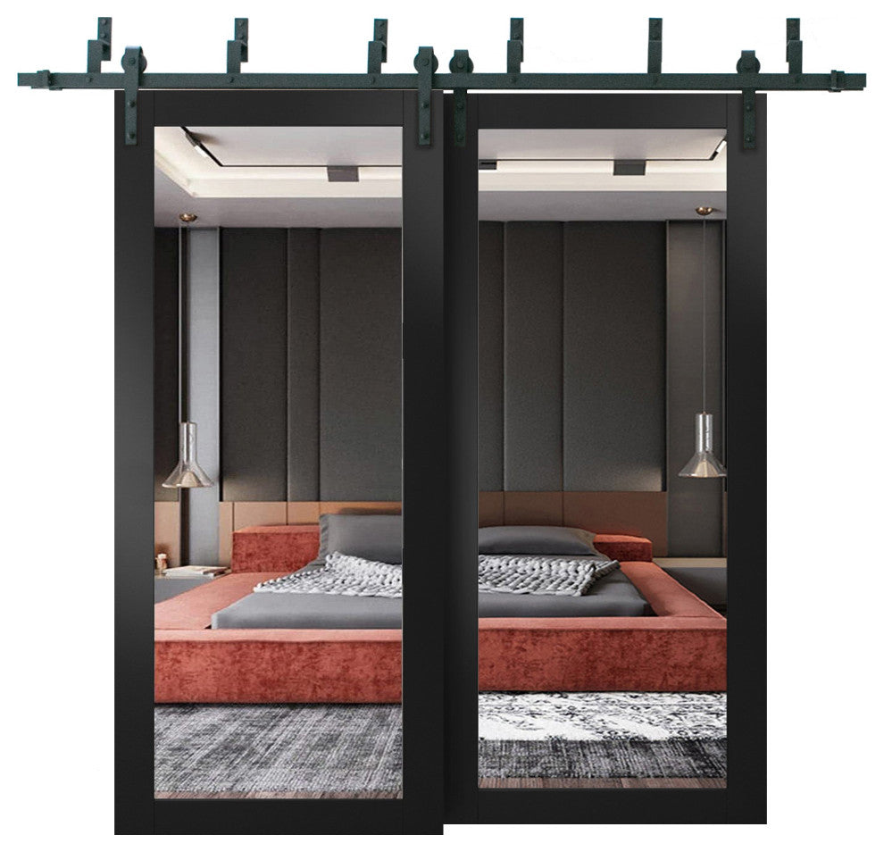 Barn Bypass Doors 60 x 96, Lucia 1299 Matte Black & Mirror, 6.6' Rail