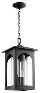 Quorum 704-9-69 Three Light Pendant, Black Finish