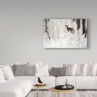 Ron Parker 'Deep Snow Whitetail' Canvas Art, 47"x30"