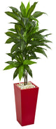 5" Dracaena Artificial Plant, Red Planter, Real Touch