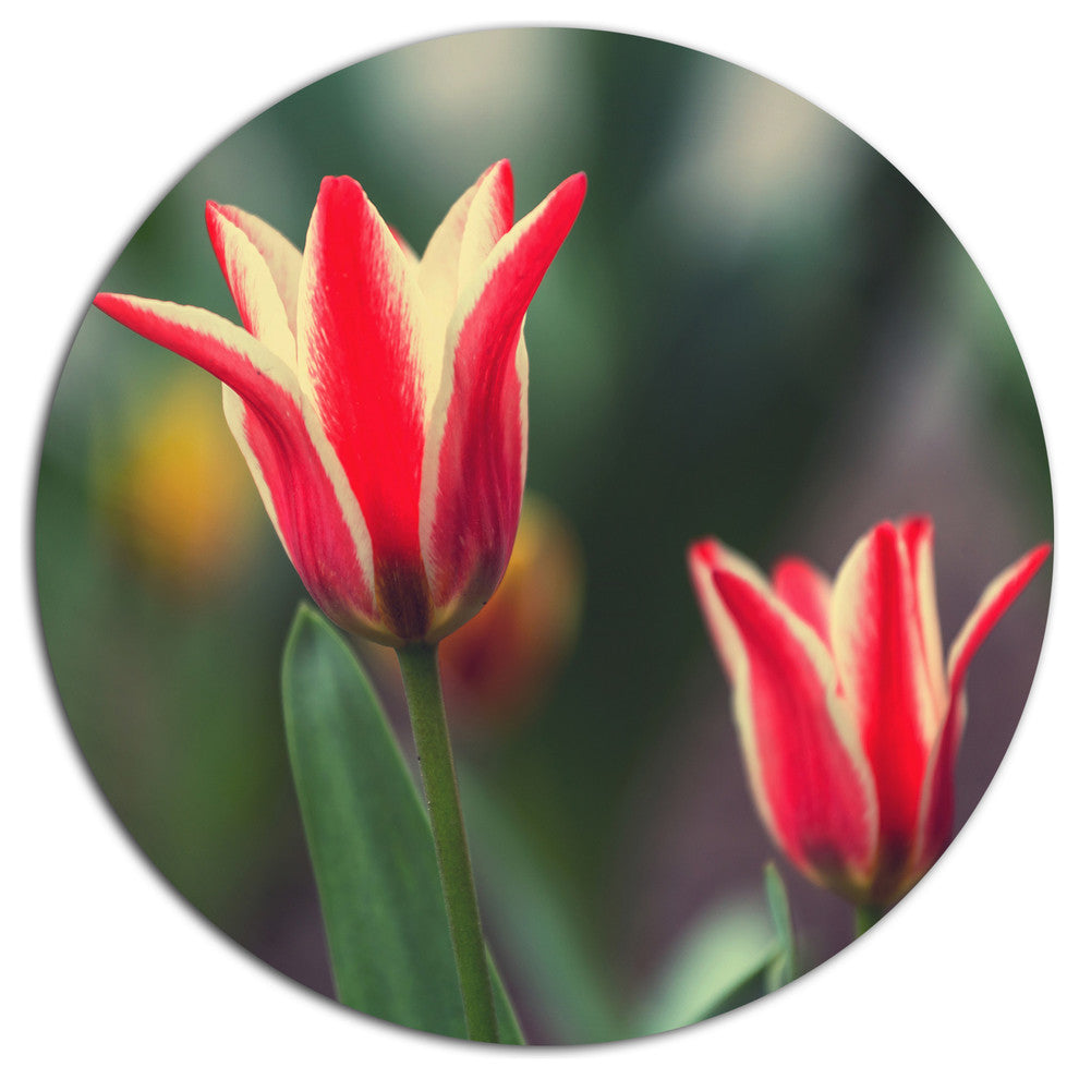 Tulips On Green Background, Flower Round Wall Art, 36"