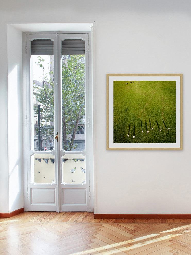 "Casting Shadows" Framed Print by Karolis Janulis