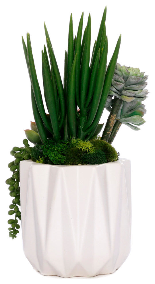 Succulent Arrangement in White Metal Pot