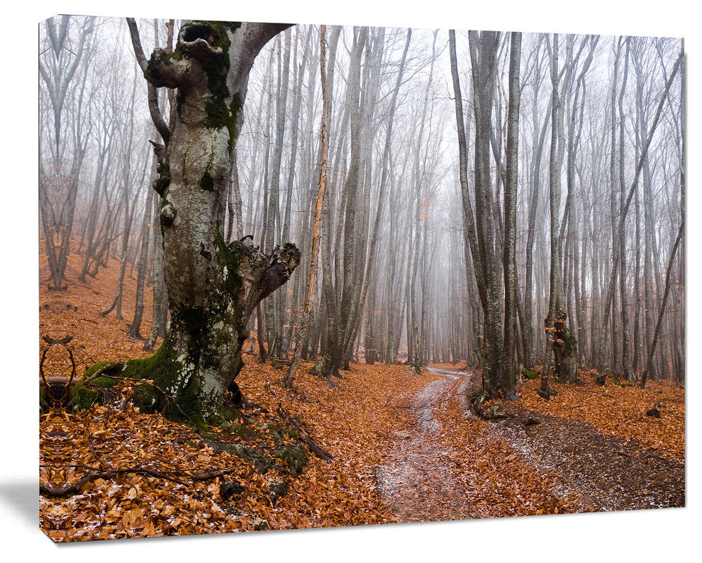 Road Covered by Fallen Leaves, Modern Forest Canvas Art, 20"x12"