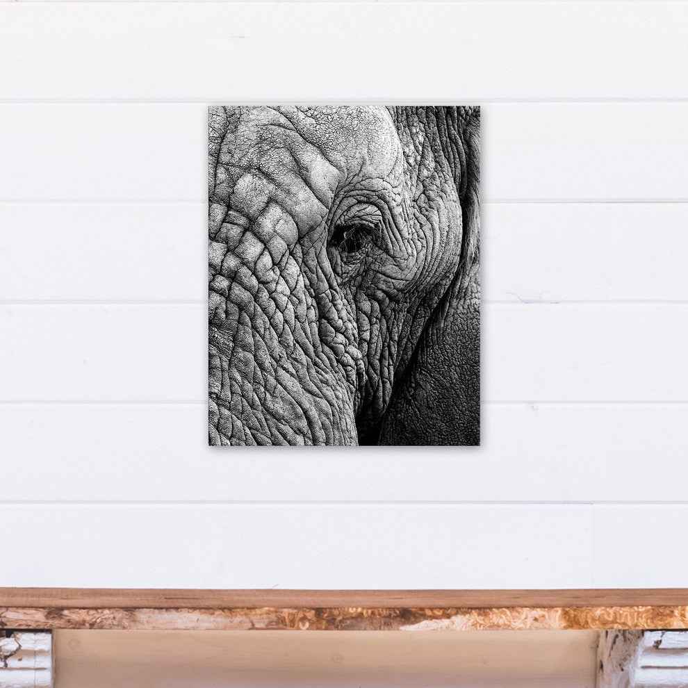 Elephant Face Print on Canvas