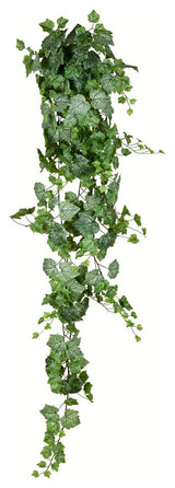 6' Green & White Grape Ivy Hanging Bush