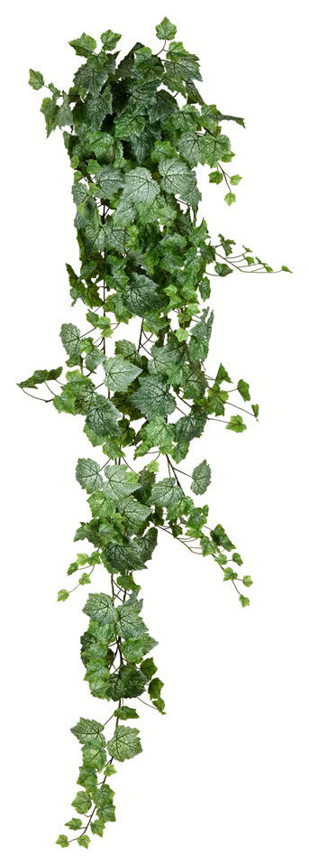 6' Green & White Grape Ivy Hanging Bush