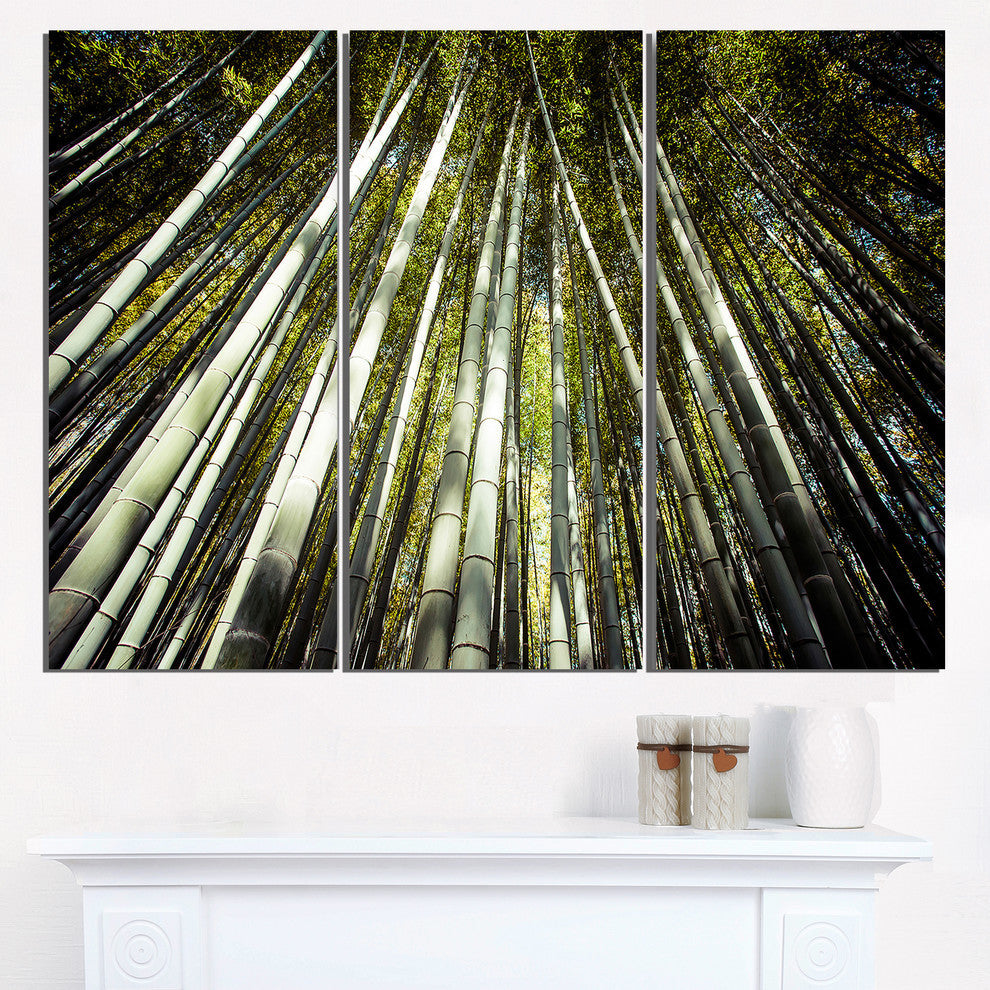 "Long Bamboos in Bamboo Forest" Forest Metal Wall Art, 3 Panels, 36"x28"