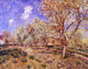 Alfred Sisley Spring at Veneux, Gallery Wrapped Canvas Print, 20"x25"