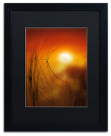 'Nature Time Machine' Matted Framed Canvas Art by Philippe Sainte-Laudy