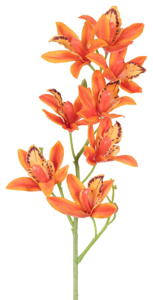 Vickerman 32" Orchid Stem, 6 per Pack, Orange