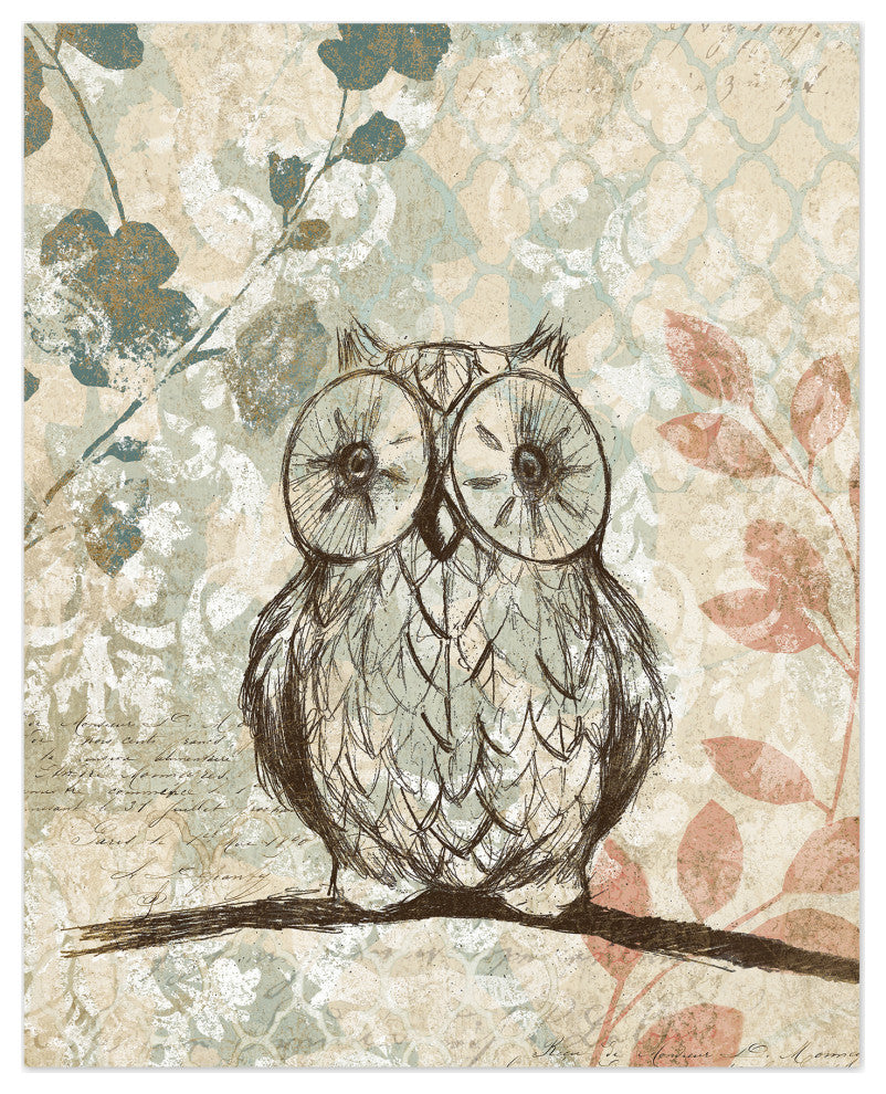 Little Wise Owl 16x20 Canvas Wall Art