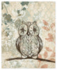 Little Wise Owl 16x20 Canvas Wall Art