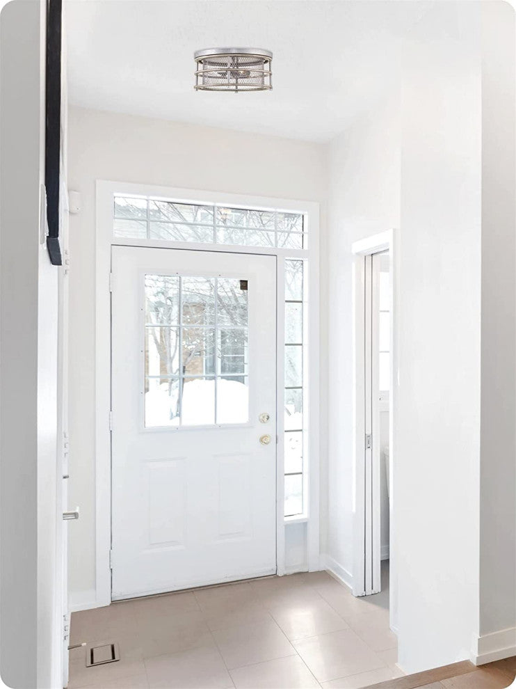 4 Light Wire Mesh Ceiling Lamp, Farmhouse, Flush Mount