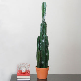 Lifestyle image showing the cactus in a real room setting with desk items; full product visible.