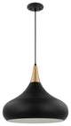 Phoenix 1-Light Large Pendant, Matte Black With Burnished Brass