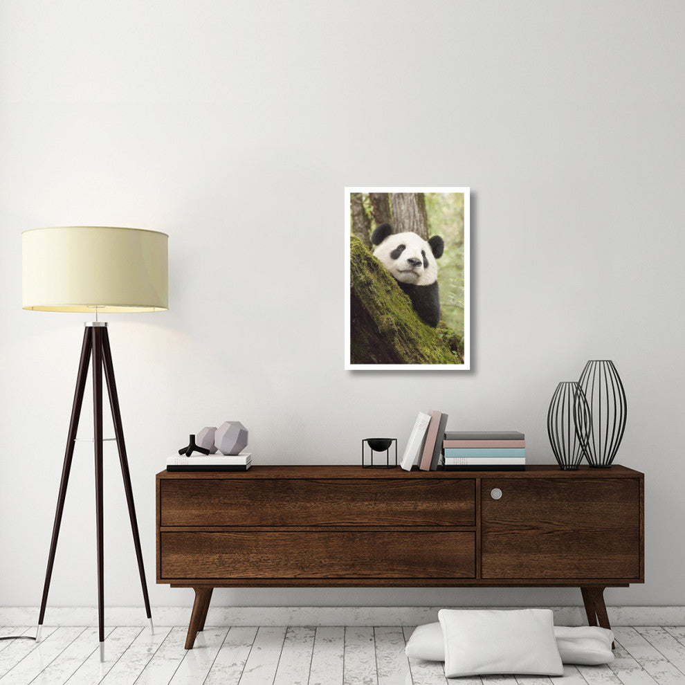 "Xiang Xiang, 1st captive raised panda released into wild" Paper Art, 22"x32"